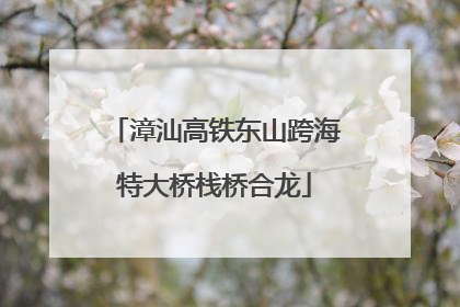 漳汕高铁东山跨海特大桥栈桥合龙