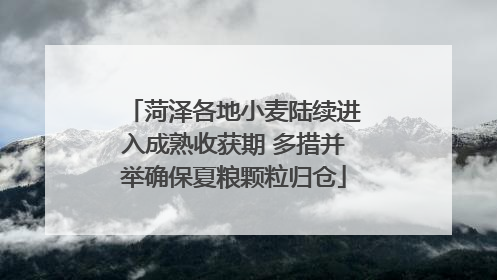 菏泽各地小麦陆续进入成熟收获期 多措并举确保夏粮颗粒归仓