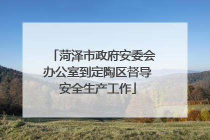 菏泽市政府安委会办公室到定陶区督导安全生产工作