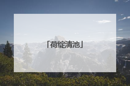 荷绽清池