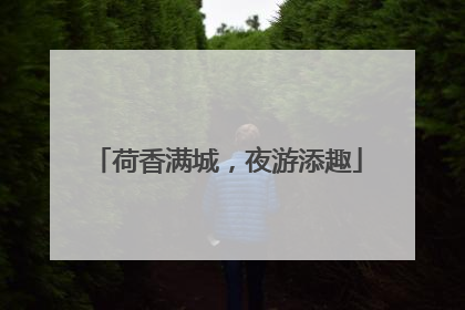 荷香满城，夜游添趣
