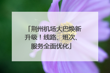 荆州机场大巴焕新升级！线路、班次、服务全面优化