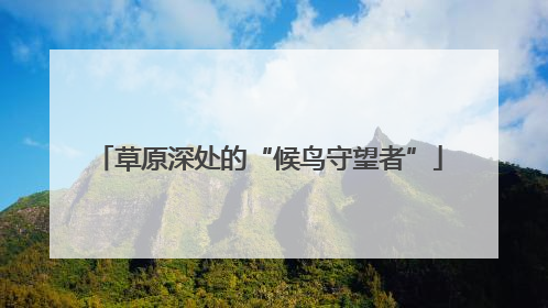 草原深处的“候鸟守望者”