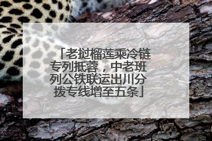老挝榴莲乘冷链专列抵蓉，中老班列公铁联运出川分拨专线增至五条