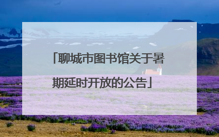 聊城市图书馆关于暑期延时开放的公告