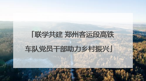 联学共建 郑州客运段高铁车队党员干部助力乡村振兴