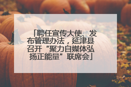 聘任宣传大使、发布管理办法，延津县召开“聚力自媒体弘扬正能量”联席会