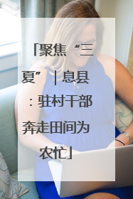 聚焦“三夏”｜息县：驻村干部奔走田间为农忙
