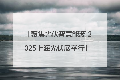 聚焦光伏智慧能源 2025上海光伏展举行