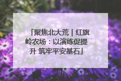 聚焦北大荒｜红旗岭农场：以演练促提升 筑牢平安基石