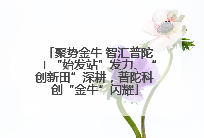 聚势金牛 智汇普陀〡“始发站”发力、“创新田”深耕，普陀科创“金牛”闪耀