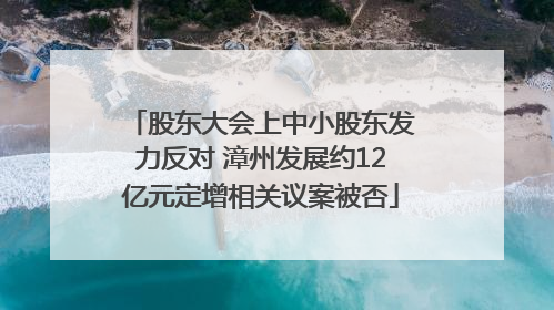 股东大会上中小股东发力反对 漳州发展约12亿元定增相关议案被否