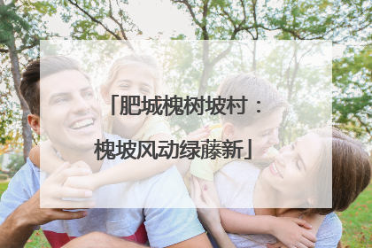 肥城槐树坡村：槐坡风动绿藤新