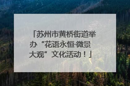 苏州市黄桥街道举办“花语永恒·微景大观”文化活动！