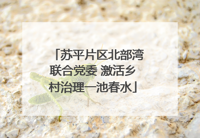 苏平片区北部湾联合党委 激活乡村治理一池春水