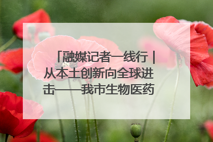 融媒记者一线行｜从本土创新向全球进击——我市生物医药产业破茧突围