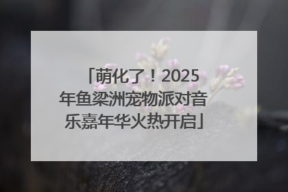 萌化了！2025年鱼梁洲宠物派对音乐嘉年华火热开启