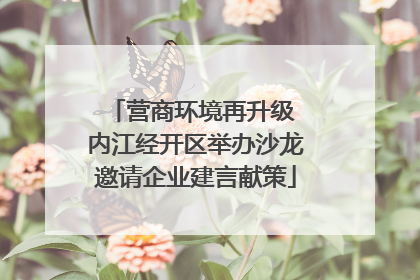 营商环境再升级 内江经开区举办沙龙邀请企业建言献策