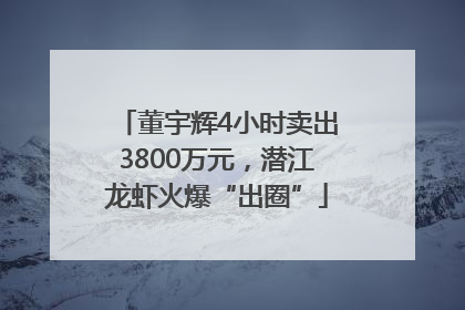 董宇辉4小时卖出3800万元，潜江龙虾火爆“出圈”