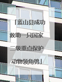 蓝山县成功救助一只国家二级重点保护动物领角鸮