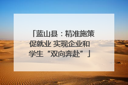蓝山县：精准施策促就业 实现企业和学生“双向奔赴”