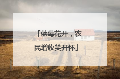 蓝莓花开，农民增收笑开怀