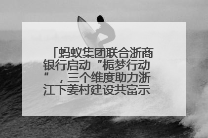 蚂蚁集团联合浙商银行启动“栀梦行动”，三个维度助力浙江下姜村建设共富示范区示范点