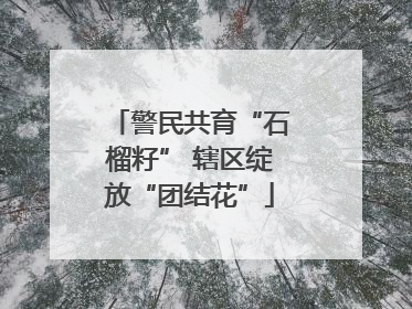 警民共育“石榴籽” 辖区绽放“团结花”