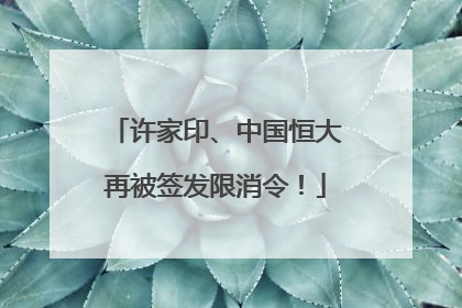 许家印、中国恒大再被签发限消令！