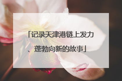 记录天津港链上发力、蓬勃向新的故事