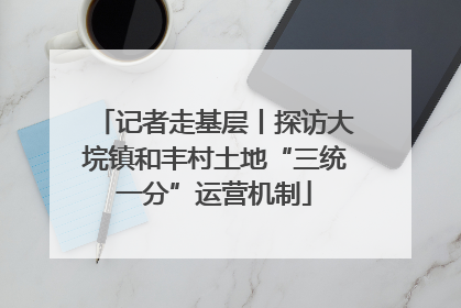 记者走基层丨探访大垸镇和丰村土地“三统一分”运营机制