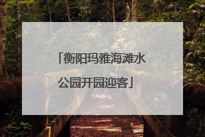 衡阳玛雅海滩水公园开园迎客