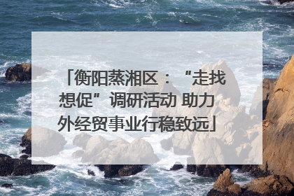 衡阳蒸湘区：“走找想促”调研活动 助力外经贸事业行稳致远