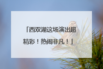 西双湖这场演出超精彩！热闹非凡！