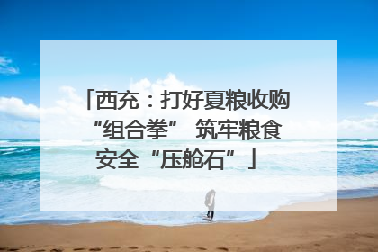 西充：打好夏粮收购“组合拳” 筑牢粮食安全“压舱石”