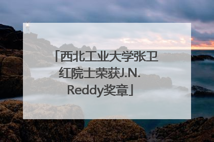 西北工业大学张卫红院士荣获J.N.Reddy奖章