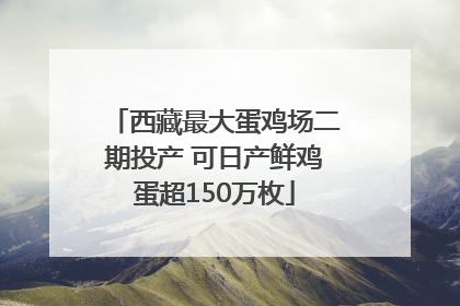 西藏最大蛋鸡场二期投产 可日产鲜鸡蛋超150万枚