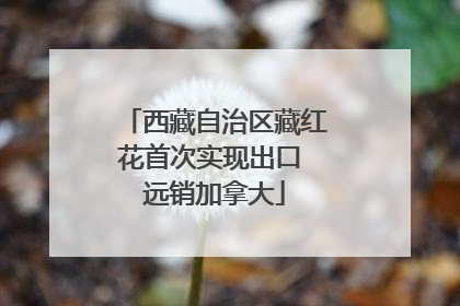 西藏自治区藏红花首次实现出口 远销加拿大
