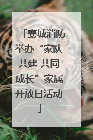 襄城消防举办“家队共建 共同成长”家属开放日活动