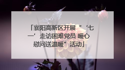 襄阳高新区开展“‘七一’走访困难党员 暖心慰问送温暖”活动