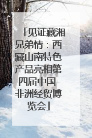 见证藏湘兄弟情：西藏山南特色产品亮相第四届中国-非洲经贸博览会