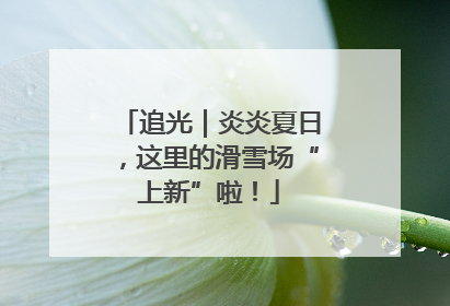 追光｜炎炎夏日，这里的滑雪场“上新”啦！