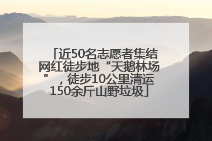 近50名志愿者集结网红徒步地“天鹅林场”，徒步10公里清运150余斤山野垃圾