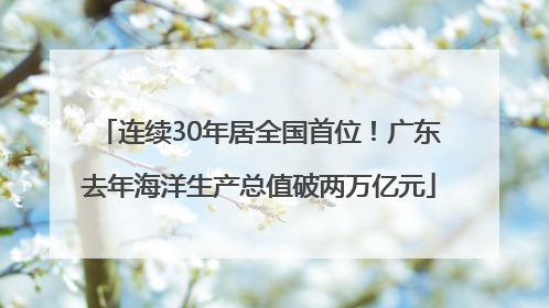 连续30年居全国首位！广东去年海洋生产总值破两万亿元