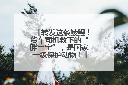转发这条鲮鲤！货车司机救下的“胖宝宝”，是国家一级保护动物！