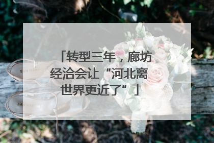 转型三年，廊坊经洽会让“河北离世界更近了”