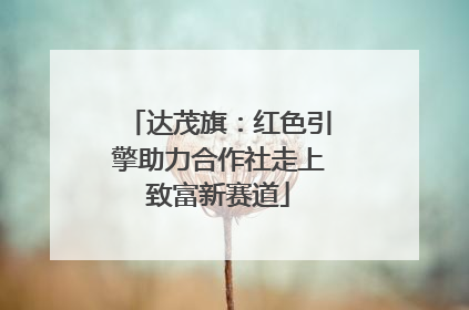 达茂旗：红色引擎助力合作社走上致富新赛道