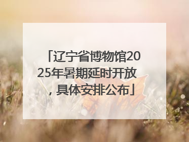 辽宁省博物馆2025年暑期延时开放，具体安排公布