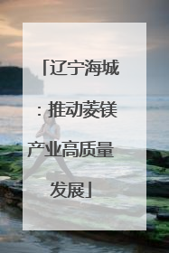 辽宁海城：推动菱镁产业高质量发展