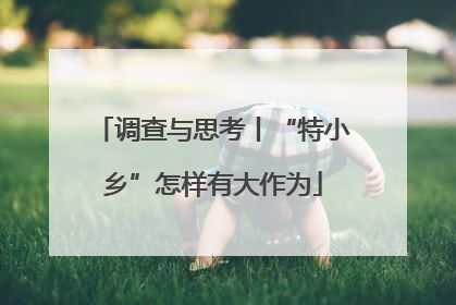 调查与思考丨“特小乡”怎样有大作为